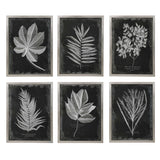 Foliage Multicolor Framed Prints (Set of 6) - Ornate Home