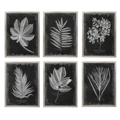 Foliage Multicolor Framed Prints (Set of 6) - Ornate Home