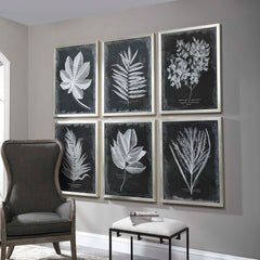 Foliage Multicolor Framed Prints (Set of 6) - Ornate Home