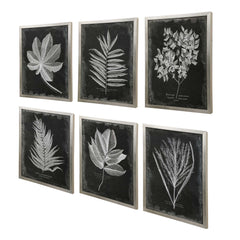 Foliage Multicolor Framed Prints (Set of 6) - Ornate Home