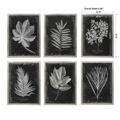 Foliage Multicolor Framed Prints (Set of 6) - Ornate Home