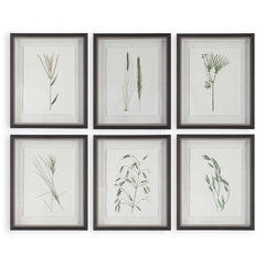 Forest Finds Brown/Green Framed Prints (Set of 6) - Ornate Home