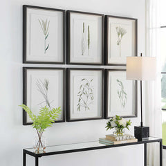 Forest Finds Brown/Green Framed Prints (Set of 6) - Ornate Home