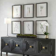 Forest Finds Brown/Green Framed Prints (Set of 6) - Ornate Home