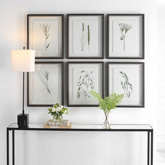 Forest Finds Brown/Green Framed Prints (Set of 6) - Ornate Home