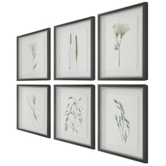 Forest Finds Brown/Green Framed Prints (Set of 6) - Ornate Home