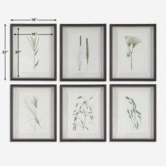 Forest Finds Brown/Green Framed Prints (Set of 6) - Ornate Home