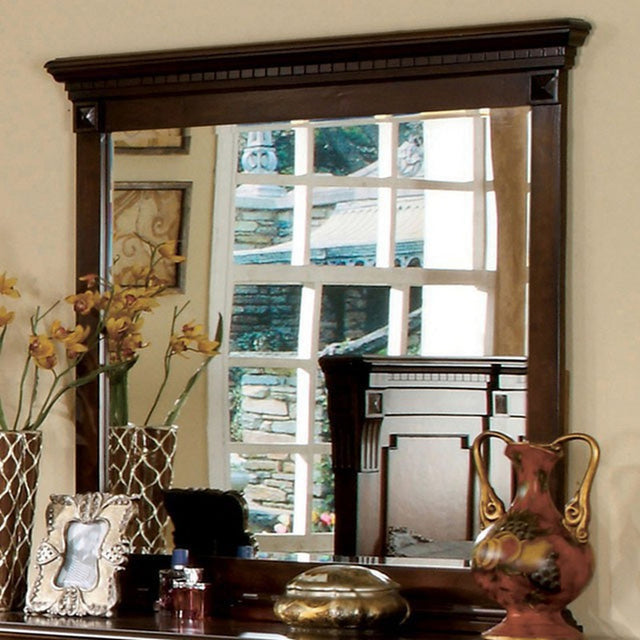 Fortrose Antique Dark Oak Mirror - Ornate Home