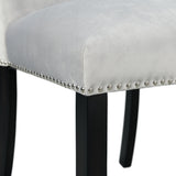 Francesca Gray Velvet Counter Side Chair (Set of 2) - Ornate Home