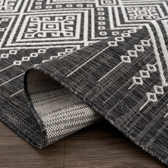 Frankville Black&White All Over Performance Outdoor Rug - Ornate Home
