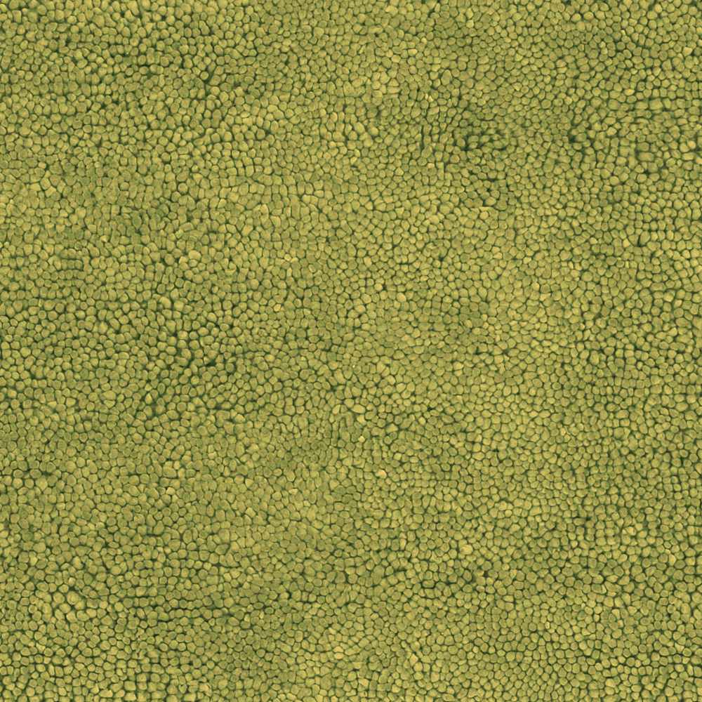 Frederika Solid Olive Green Wool Shag Rug - Clearance - Ornate Home