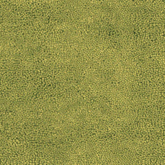 Frederika Solid Olive Green Wool Shag Rug - Clearance - Ornate Home