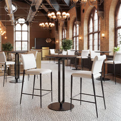 Freesia White Counter Stool (Set of 2) - Ornate Home