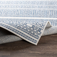 Freshwater White&Blue Outdoor Rug - Clearance - Ornate Home