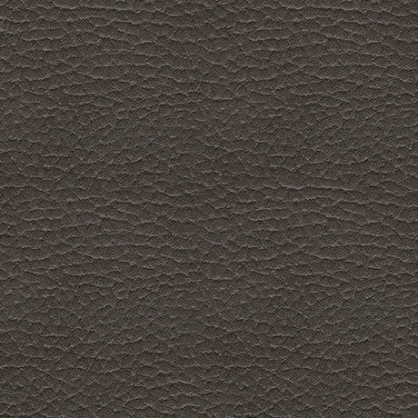 Fyne-Dyme Shadow Power Reclining Sofa and Power Recliner - Ornate Home