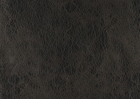 Gainesville Chocolate Double Reclining Loveseat - Ornate Home