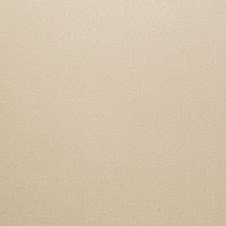 Galiano Beige Arm Chair (Set of 2) - Ornate Home