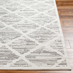 Gambang 3D Trellis Outdoor Area Rug - Clearance - Ornate Home