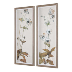 Garden Study Multicolor Framed Floral Prints (Set of 2) - Ornate Home