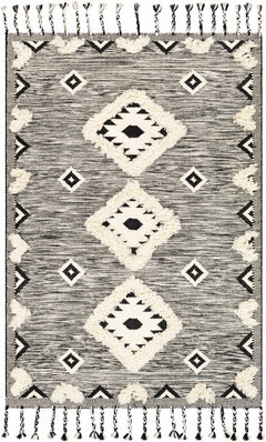 Gardner Cream on Gray Wool Tassel Rug - Clearance - Ornate Home