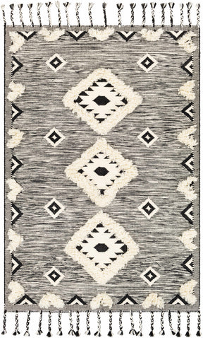Gardner Cream on Gray Wool Tassel Rug - Clearance - Ornate Home