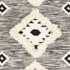 Gardner Cream on Gray Wool Tassel Rug - Clearance - Ornate Home