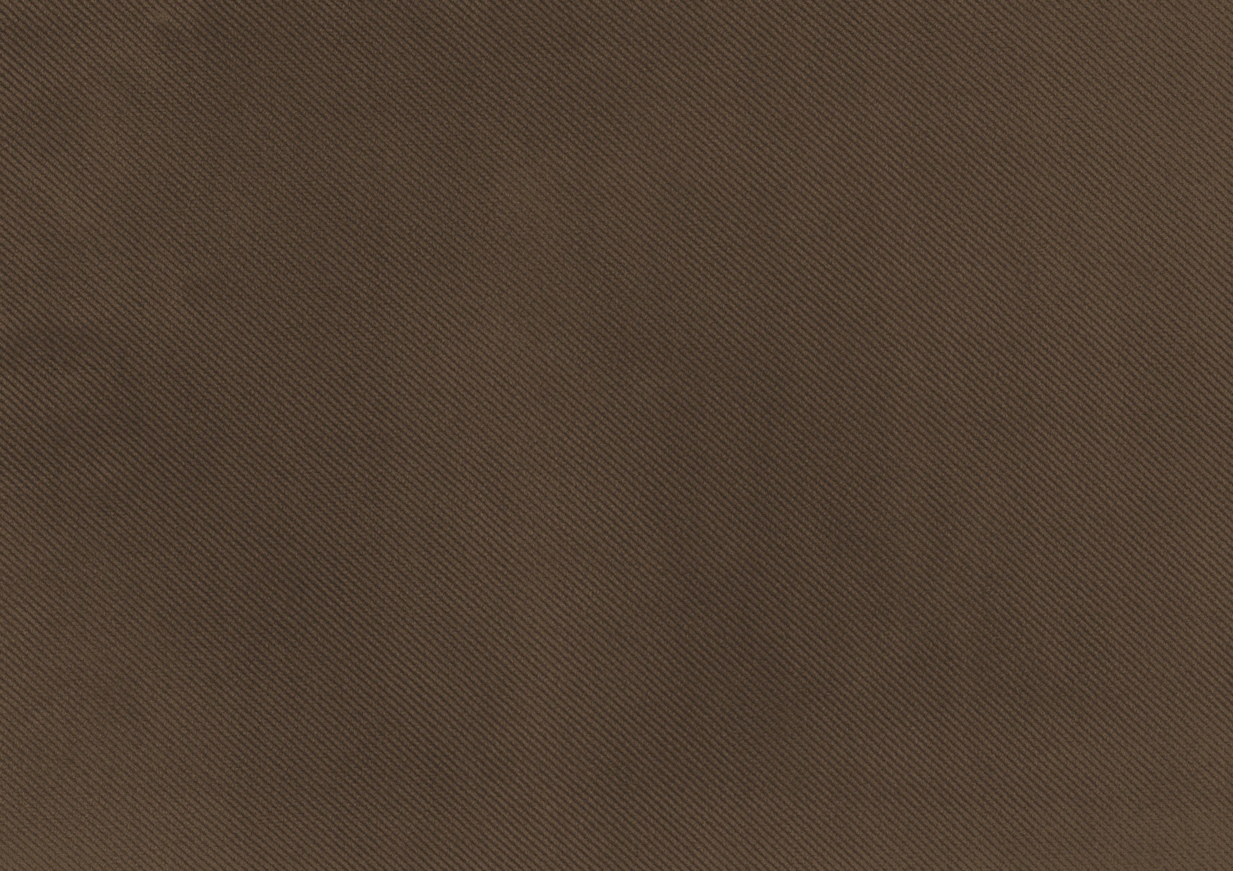 Garrell Brown Velvet Lift Top Storage Bench with Pull-out Bed - Ornate Home