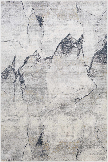 Gasquet Gray Marble Textured Luxe Rug - Ornate Home