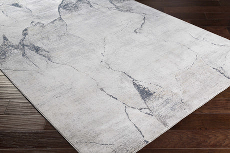 Gasquet Gray Marble Textured Luxe Rug - Ornate Home