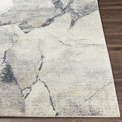 Gasquet Gray Marble Textured Luxe Rug - Ornate Home