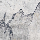 Gasquet Gray Marble Textured Luxe Rug - Ornate Home