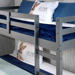 Gaston Gray Loft Bed - Ornate Home