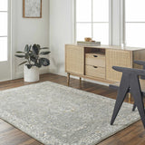 Gauge Gray Blue Textured Rug with Fringes - Ornate Home