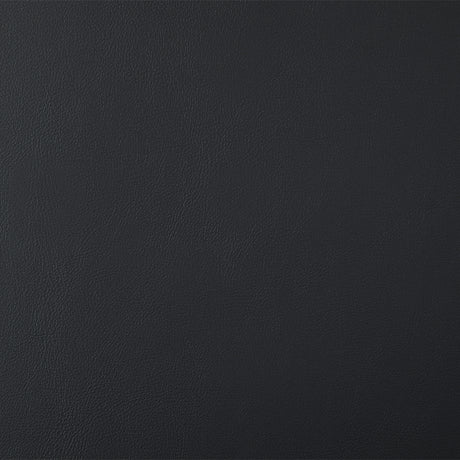 Gavan Black Arm Chair (Set of 2) - Ornate Home