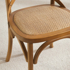 Gear Walnut Dining Side Chair (Set of 2) - Ornate Home