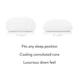 Gel Convolution White Queen High Loft Pillow - Ornate Home