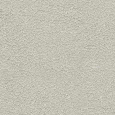 Genoa Coconut Leather Loveseat - Ornate Home