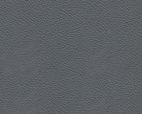 Genoa Coconut Leather Queen Sleeper Sofa - Ornate Home