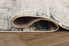 Gentor Blue/Ivory 8' x 10' Rug - Ornate Home