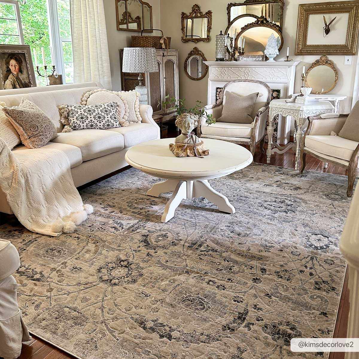 Georgiana Beige Area Rug - Ornate Home