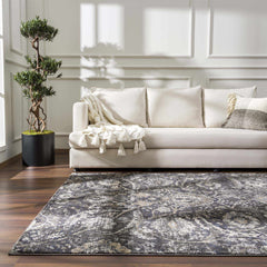 Georgiana Charcoal Area Rug - Ornate Home
