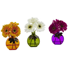Gerber Daisy w/Colored Vase (Set of 3) - Ornate Home