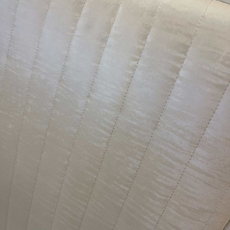 Gianna Ivory Faux leather & Stainless Steel Side Chair (Set of 2) - Ornate Home