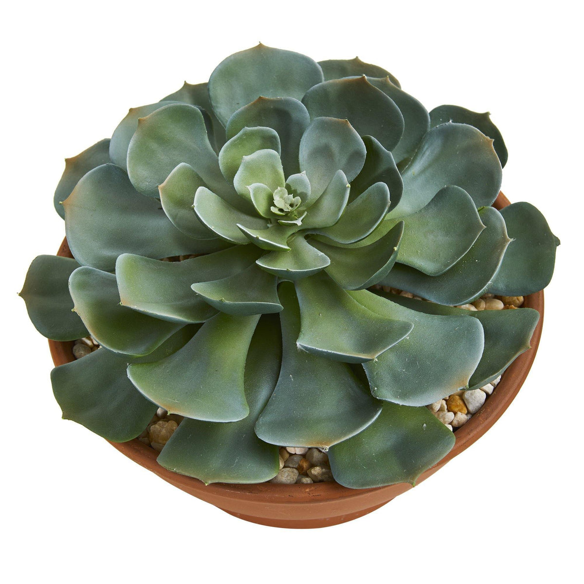 Giant Echeveria Succulent Artificial Plant in Terra Cotta Planter