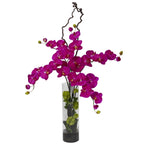 Orchid