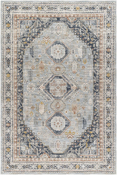 Gilda Area Rug - Clearance - Ornate Home