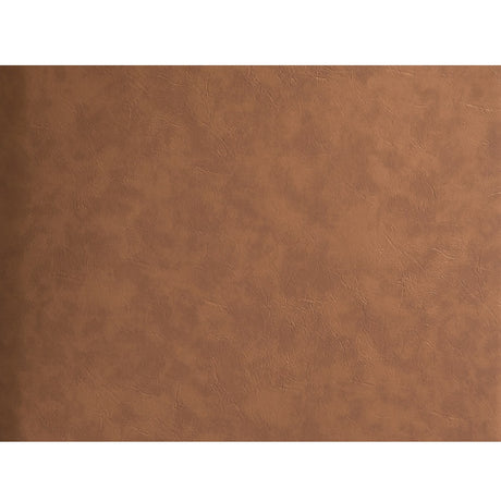 Ginny Brown Side Chair  (Set of 2) - Ornate Home