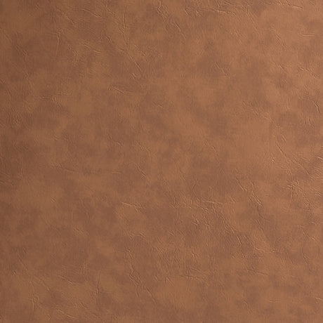 Ginny Brown Side Chair  (Set of 2) - Ornate Home