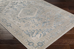 Girikbedro Area Carpet - Clearance - Ornate Home