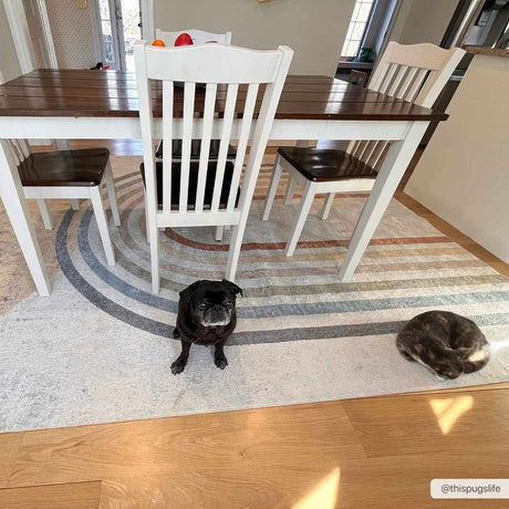 Giza Washable Area Rug - Ornate Home